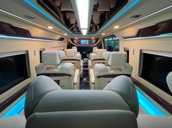 进口丰田海狮9座商务车／进口丰田海狮9座商务车图片