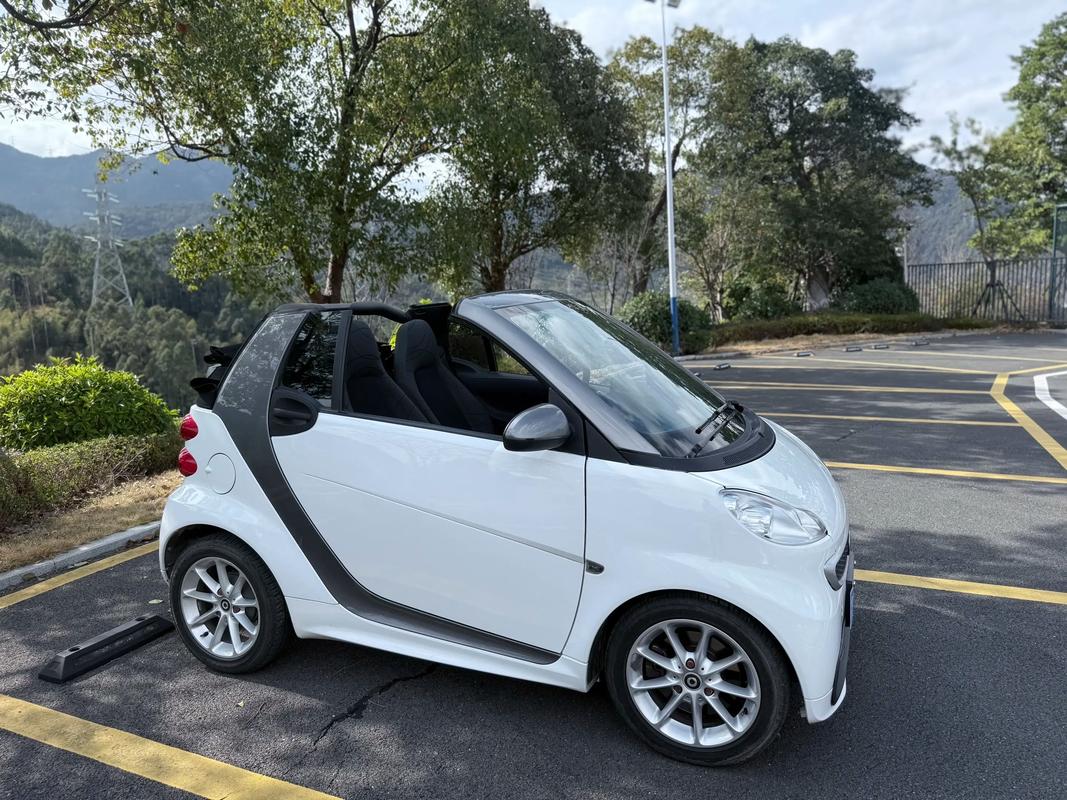 smart是什么牌子车(smart叫什么车)