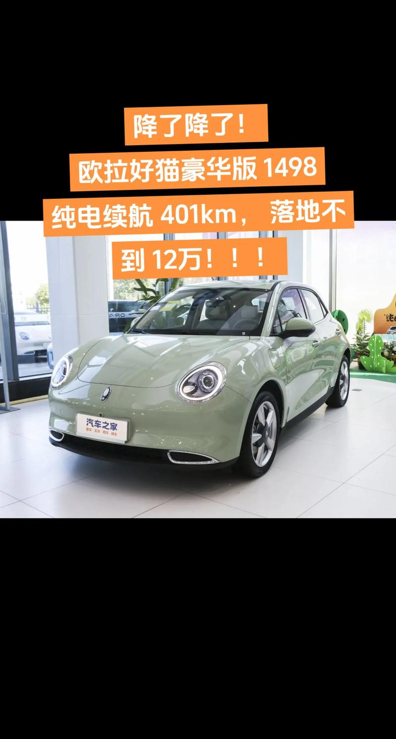 欧拉熊猫汽车报价/欧拉熊猫配色