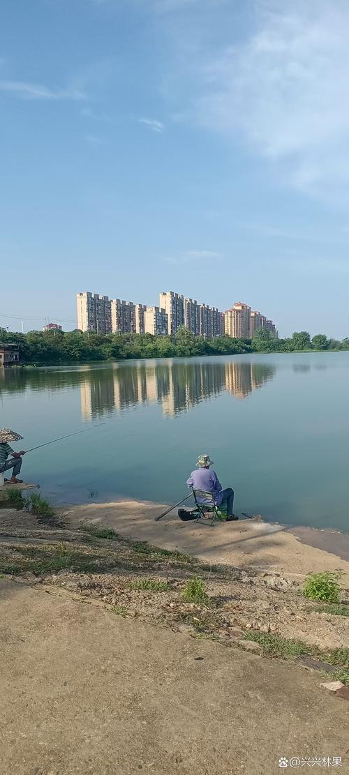 【汽车街,汽车街退通最新消息今天】