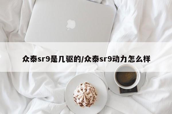 众泰sr9是几驱的/众泰sr9动力怎么样