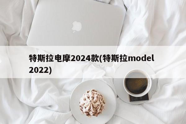 特斯拉电摩2024款(特斯拉model 2022)